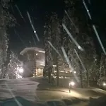 Ankkalinna