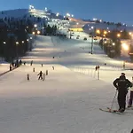 Ankkalinna Pyhatunturi