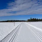 Ankkalinna * Pyhatunturi