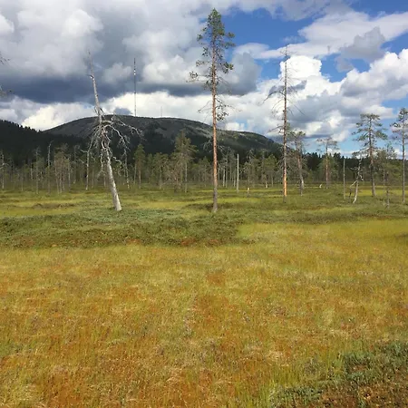 Ankkalinna Pyhätunturi