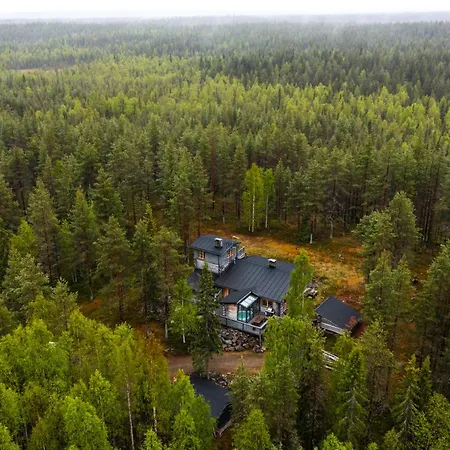 Ankkalinna *