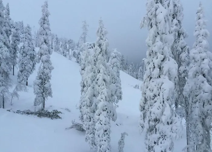 Ankkalinna Пухатунтури