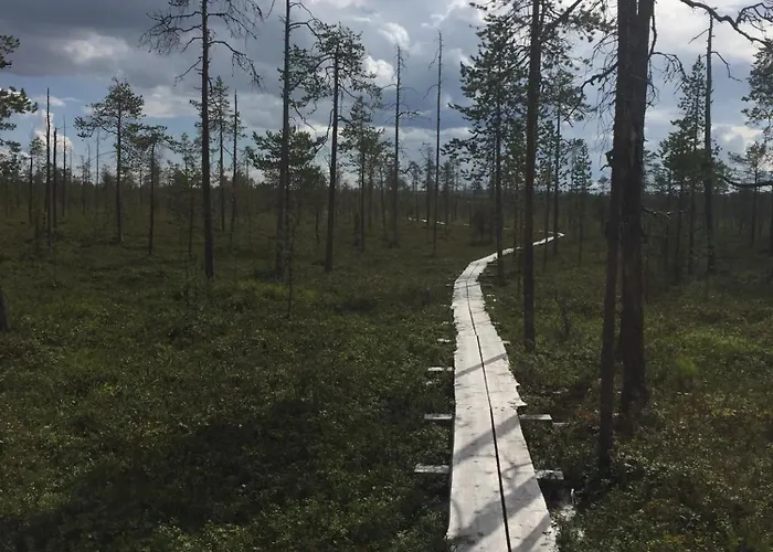 Ankkalinna ヴィラ