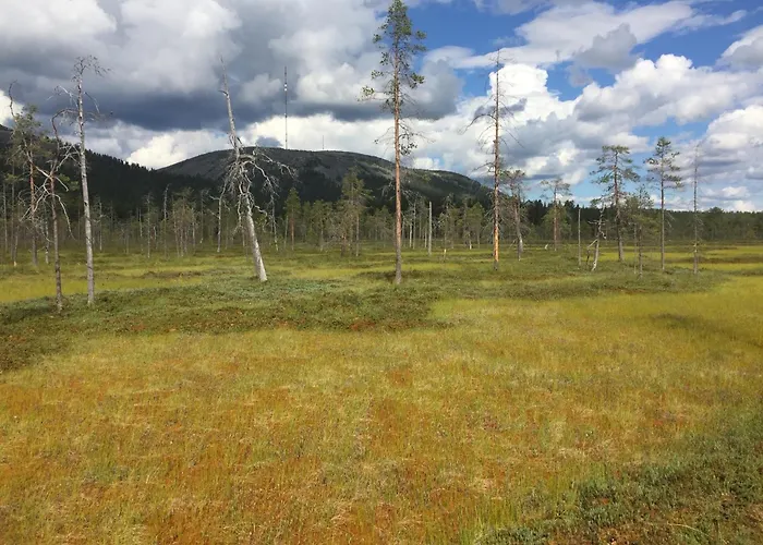 Ankkalinna Pyhätunturi