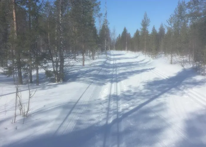 Ankkalinna * ピュハトゥントゥリ