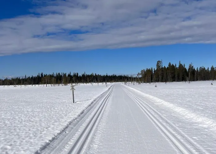 Ankkalinna * Pyhätunturi