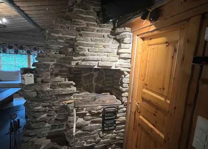 Ankkalinna ヴィラ